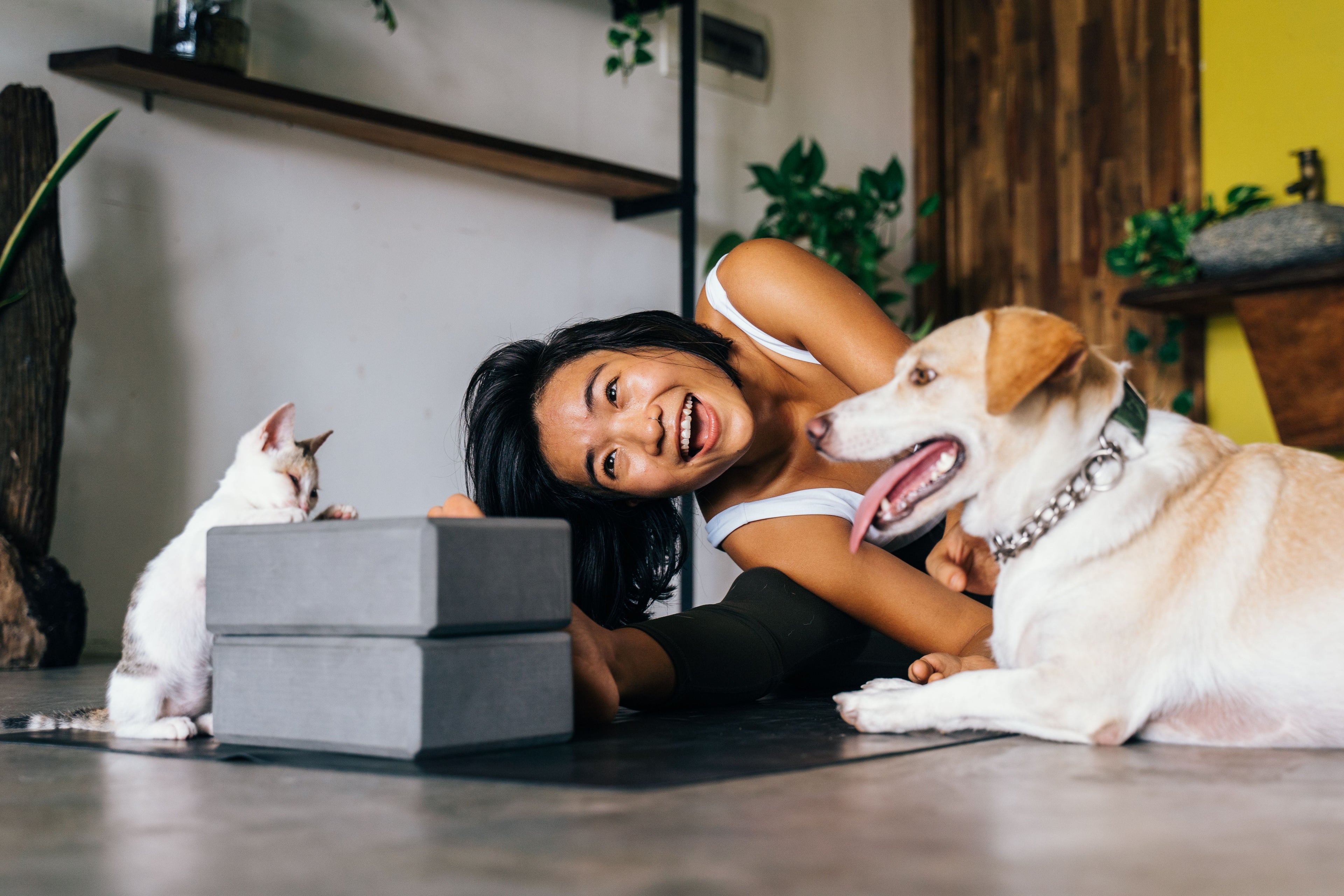 Pet Home & Care